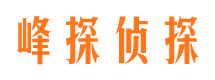 江西市调查公司